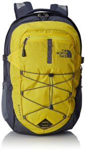 The North Face Borealis Backpack