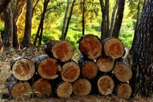 How Much Firewood Do I Need for Camping?