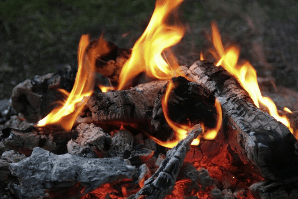 how to cook over a campfire