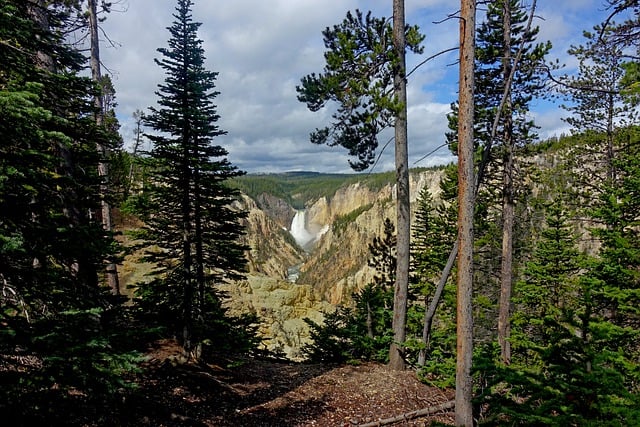 Yellowstone National Park