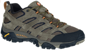 Hiking Shoe