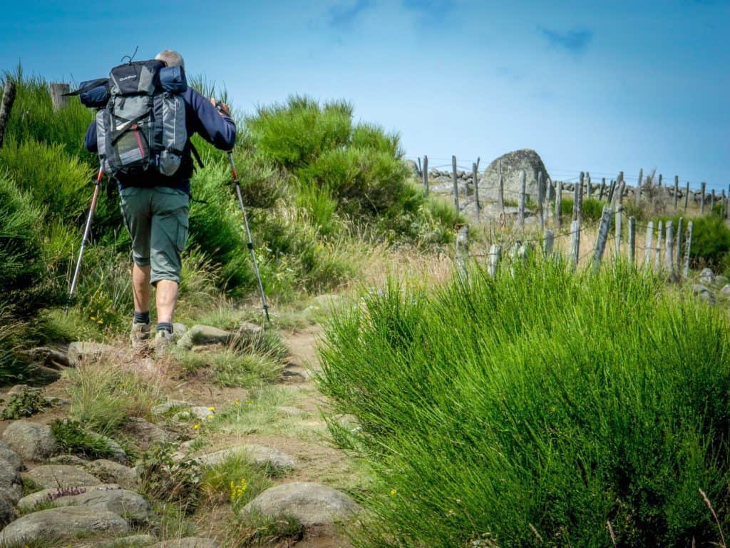 Hiking