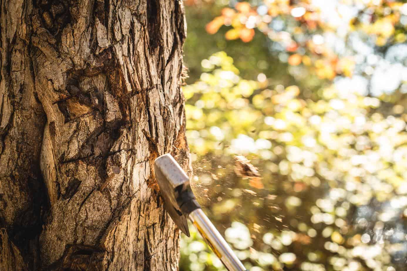 Survival Hatchet Multi Tool