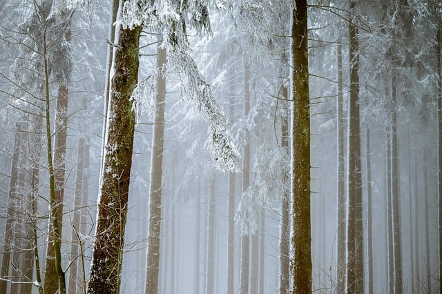 Winter Camping