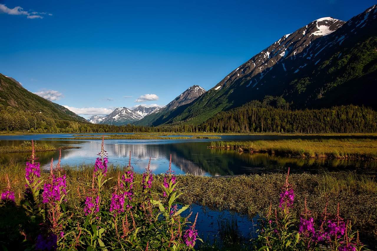 can you camp anywhere in a national forest