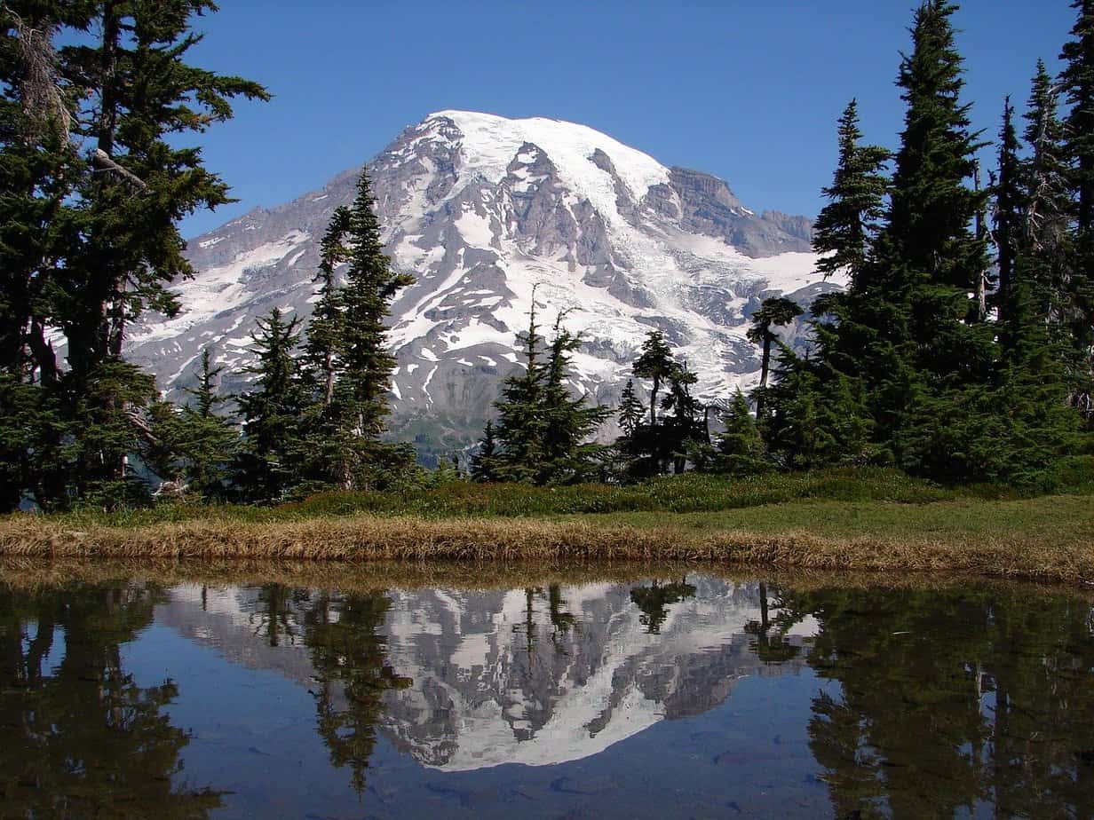 easy mt rainier hikes