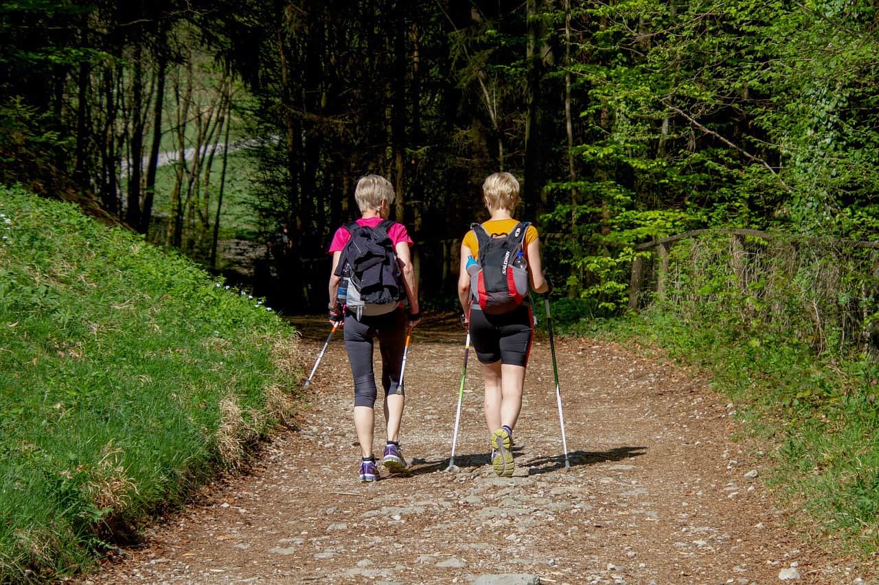 Best Trekking Poles for Women