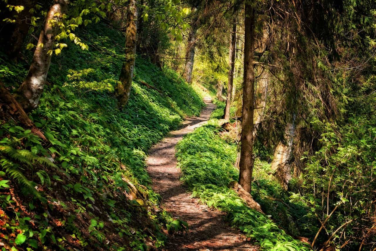 How Long Does it Take to Hike the Knobstone Trail?