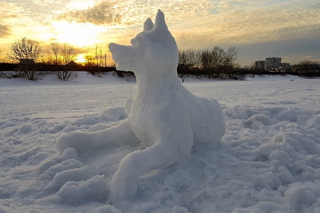 Snow Sculpture