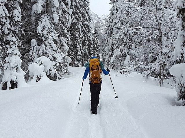 Snow Hiking with Trekking Poles