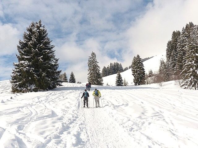 Snow Hiking